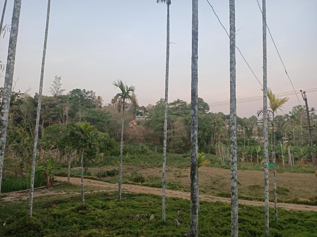 Bethel Service Villa, Mananthavady, 瓦亚纳德 外观 照片